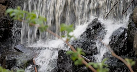 Waterfall in the forest with focus transition over rock stones to wild flower Video stock 129630372