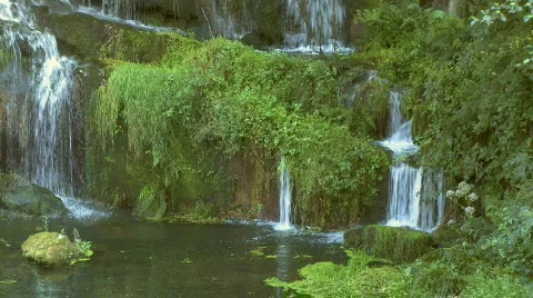 Waterfall in forest Video stock 275822