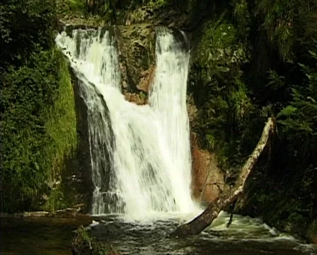 Waterfall in the forest 库存影片 276220