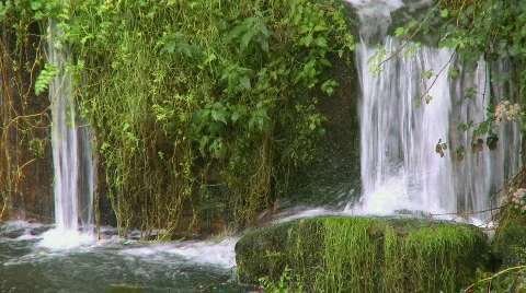 Waterfall in forest Stock Footage 306246