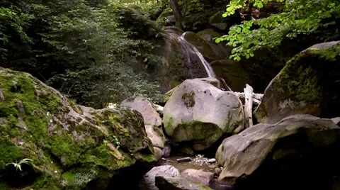 Waterfall in a forest Stock Footage 7752777
