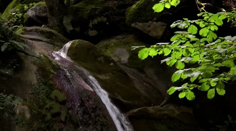 Waterfall in a forest Stock Footage 7752853