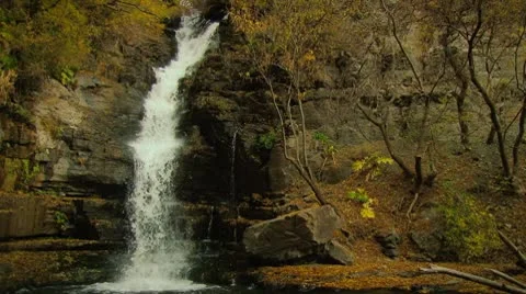 A Waterfall in the forest Stock Footage