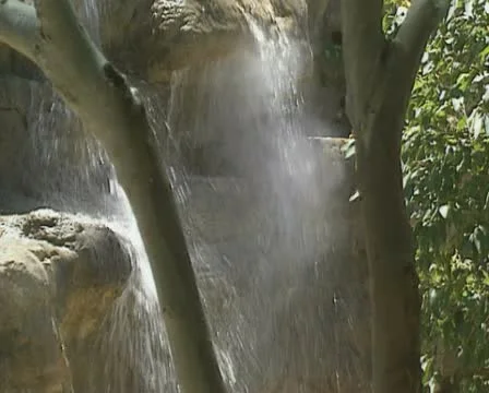 Waterfall in forest Stock Footage 22202224