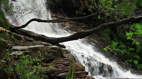 Waterfall in the forest Video stock 24185998