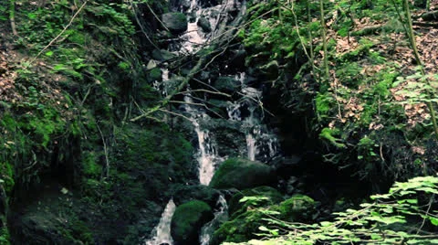 Waterfall in Forest Stock Footage 25983393