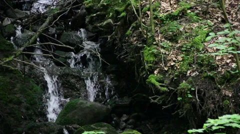 Waterfall in Forest Stock Footage 27631884