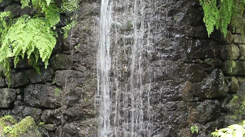 The Waterfall in a forest Stock Footage 27790458
