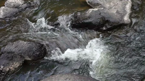 Waterfall in forest Stock Footage 36752204