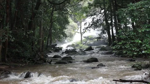 Waterfall in the forest Stock-Footage 43057647
