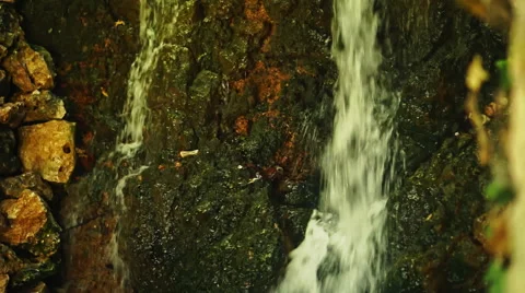 Waterfall in Forest Stock-Footage 54677634