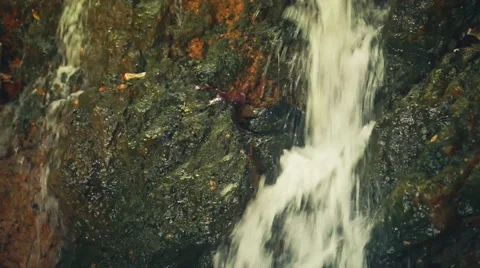 Waterfall in Forest Stock Footage 54677960