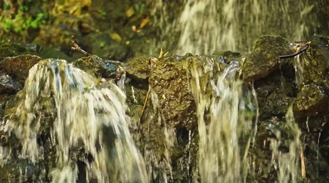 Waterfall in Forest 動画素材 54678322