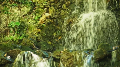Waterfall in Forest Stock Footage 54678381