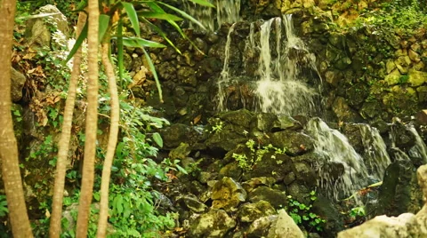 Waterfall in Forest Video stock 54678781