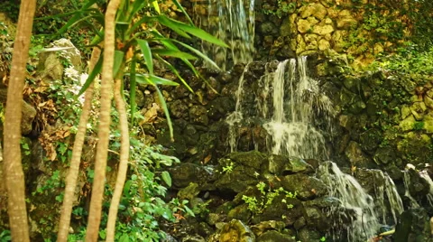 Waterfall in Forest Видео 54678838