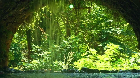 Waterfall in Forest Stock Footage 54678997