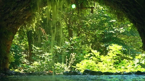 Waterfall in Forest 库存影片 54679192