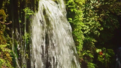 Waterfall in Forest Video stock 54679359