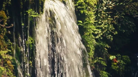 Waterfall in Forest Stock-Footage 54679733
