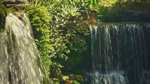 Waterfall in Forest Stock Footage 54679775
