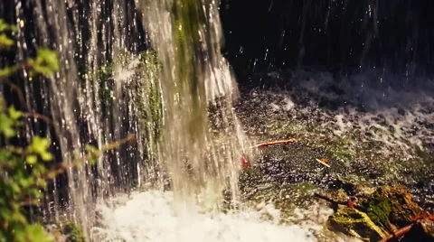 Waterfall in Forest Video stock 54679871