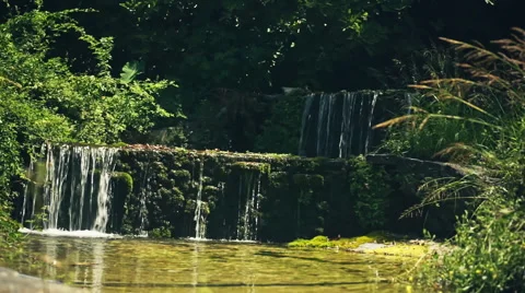 Waterfall in Forest Видео 54680081