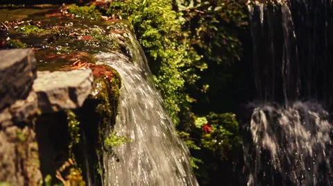 Waterfall in Forest Stock-Footage 54680225