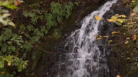 Waterfall in the forest Stock Footage 57211801
