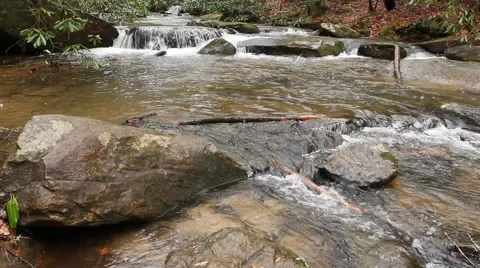 Waterfall in forest Stock Footage 58066349