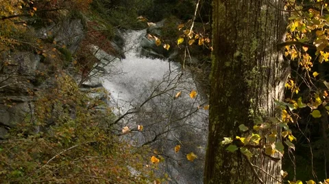 Waterfall in the forest Stock Footage 68163420