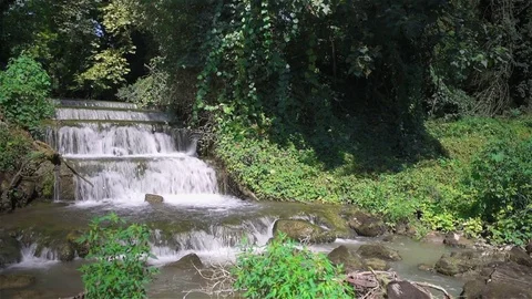 Waterfall in the forest 库存影片 71901367
