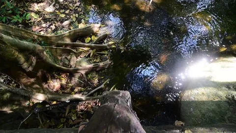 Waterfall in the forest Video stock 73561970