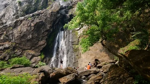 Waterfall in the forest Video stock 73760272