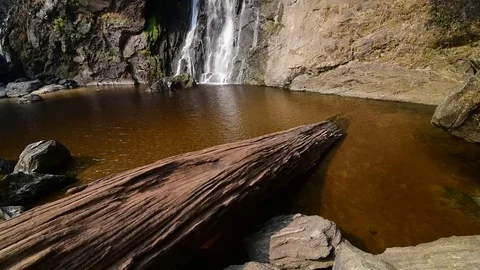 Waterfall in the forest Video stock 73760286