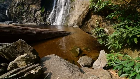 Waterfall in the forest Video stock 73760291