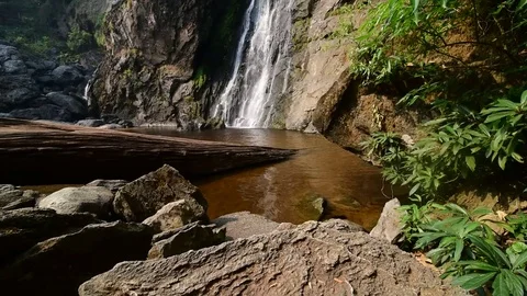 Waterfall in the forest Video stock 73760384