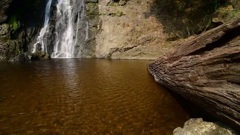 Waterfall in the forest Video stock 73760567