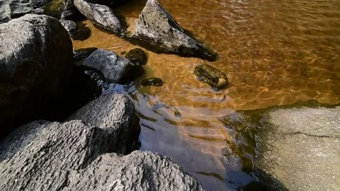 Waterfall in the forest Video stock 73760703