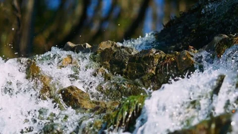 Waterfall in the forest Stock Footage 74499267