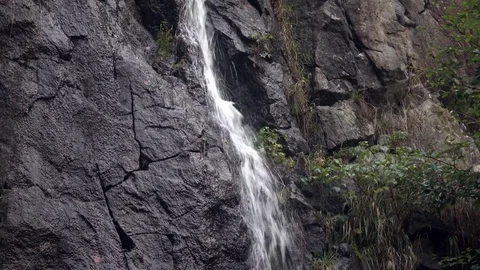 The waterfall in the forest Vidéo 76956289