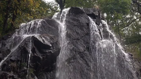 The waterfall in the forest Stock Footage 76956992