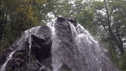 The waterfall in the forest Stock Footage 76966417