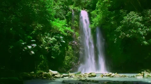 Waterfall in the forest Stock-Footage 81262540