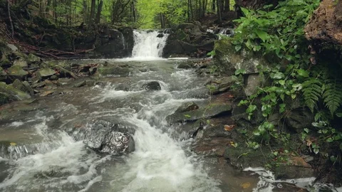 Waterfall in the forest Stock Footage 83641714