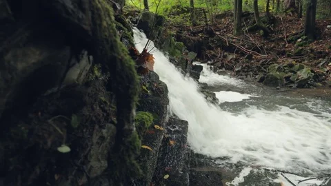 Waterfall in the forest Video stock 83641740