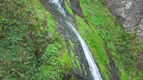 Waterfall in the Forest Stock Footage 87667143