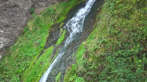 Waterfall in the Forest Stock Footage 87667218