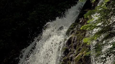 Waterfall in the forest Video stock 90304522