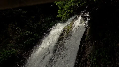 Waterfall in the forest 스톡 동영상 90305300